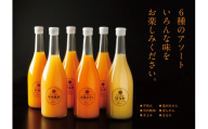 6種みかんジュースセット＜E56-50＞_ジュース みかん ミカン 常温 国産 ストレート 温州 晩柑 ポンカン 不知火 清見 6種 フルーツ 果物 くだもの 人気 柑橘 かんきつ 愛媛 産地直送 産直【1490301】 YWTAS040