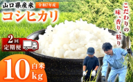 【 定期便 】 令和7年産 山口県産米 コシヒカリ 10kg 2回 ｜ 令和7年産 こしひかり 山口県産米 こめ お米 コメ 白米 精米 ごはん ご飯 瀬戸内 山口県 平生町 10kg