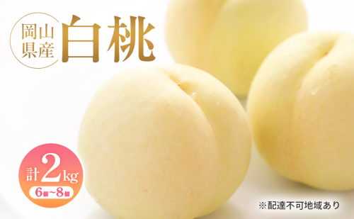 岡山県産 白桃 約2kg(6個～8個) 果物 フルーツ 桃 もも モモ 国産 岡山 2603429 - 岡山県高梁市
