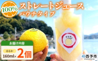 ＜はるか100％ストレートジュース パウチタイプ 160ml×2個＞『1か月以内に順次発送予定』果物 くだもの フルーツ 柑橘類 みかん 蜜柑 ミカン みかんジュース 飲料 渡江から一歩を踏み出す会 愛媛県 西予市【常温】
