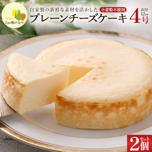 【選べる組合せ】蔵王のチーズケーキ専門店 選べるチーズケーキ＜プレーンチーズケーキ2個＞　【04301-1033-2】 2604899 - 宮城県蔵王町