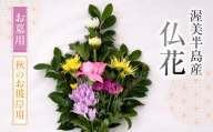 【お彼岸用　秋】産地直送 《お墓用》 仏花 日時指定可 生産額 日本一 田原市 渥美半島 お彼岸 鮮度 生花 お花 お墓まいり