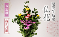 【お正月用】産地直送 《お墓用》 仏花 日時指定可 生産額 日本一 田原市 渥美半島 年末 鮮度 生花 お花 お墓まいり