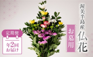 【定期便　年2回】産地直送 《お墓用》 仏花 日時指定可 生産額 日本一 田原市 渥美半島 お彼岸 鮮度 生花 お花 定期便 お墓まいり