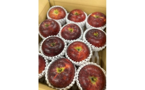 秋映りんご3kg 2605453 - 長野県長野市