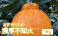 有田育ちの濃厚不知火(家庭用)(通称デコポン) 1kg+200g(傷み補償分) ※2027年1月下旬～3月下旬に順次発送 ※北海道・沖縄・その他離島地域は発送不可【ard010-c-1A】