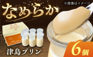 津島プリン 6個  お菓子  愛西市 / 有限会社モンシェリー 【配達不可：離島】 [AEBB017]