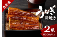 九州産うなぎ蒲焼 2匹（1匹150g以上） 015-C223