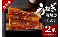九州産うなぎ蒲焼 2匹（1匹240g以上） 015-C224
