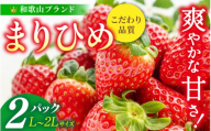 【先行予約】まりひめ いちご 12粒～15粒入り×2パック（500g）2027年1月中旬〜3月下旬頃に順次発送予定（お届け日指定不可）/ いちご 苺 まりひめ 和歌山 フルーツ 果物 くだもの【kgr007B】