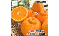 ［先行予約］特選 濃厚 不知火 1kg［MS141］