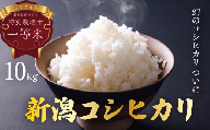 【発送日がわかる！】米 クラシック コシヒカリ 10kg (5kg×2袋) 新潟県産 お米 白米 ご飯 精米 丁寧 ていねい 安心 個包装 小分け 星野農園 新潟県 新発田市 hoshino006