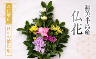 【お彼岸用　秋】産地直送 《お仏壇用》 仏花 日時指定可 生産額 日本一 田原市 渥美半島 お彼岸 鮮度 生花 お花 お墓まいり