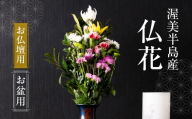 【お盆用】産地直送 《お仏壇用》 仏花 日時指定可 生産額 日本一 田原市 渥美半島 お盆 鮮度 生花 お花 お墓まいり