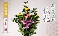 【お正月用】産地直送 《お仏壇用》 仏花 日時指定可 生産額 日本一 田原市 渥美半島 年末 鮮度 生花 お花 お墓まいり