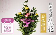 【定期便　年2回】産地直送 《お仏壇用》 仏花 日時指定可 生産額 日本一 田原市 渥美半島 お彼岸 鮮度 生花 お花 定期便 お墓まいり
