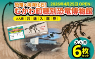 【令和8年4月25日OPEN】恐竜×海洋化石！むかわ町穂別恐竜博物館 共通入館券　大人用６枚セット MKWAM002 【 ふるさと納税 人気 おすすめ ランキング むかわ町穂別恐竜博物館 共通入館チケット カムイサウルス むかわ竜 恐竜館 海洋化石館 北海道 観光チケット 家族旅行 レジャー 体験型施設 化石展示 恐竜好き 子供向け 学習スポット 人気観光地 北海道 むかわ町 】