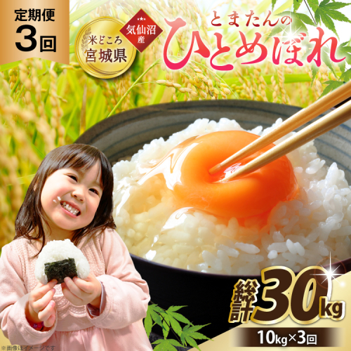 3回 定期便 米 宮城県産 とまたんのひとめぼれ 10kg (5kg×2袋) 総計30kg [サンフレッシュ小泉農園 宮城県 気仙沼市 20566086] ひとめぼれ ブランド米 白米 精米 ご飯 ごはん コメ こめ お米 小分け 家庭用 2607537 - 宮城県気仙沼市