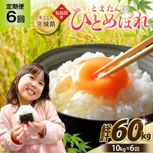 6回 定期便 米 宮城県産 とまたんのひとめぼれ 10kg (5kg×2袋) 総計60kg [サンフレッシュ小泉農園 宮城県 気仙沼市 20566087] ひとめぼれ ブランド米 白米 精米 ご飯 ごはん コメ こめ お米 小分け 家庭用 2607539 - 宮城県気仙沼市
