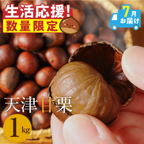 【2026年7月発送】【特別容量 800g⇒1kg】 （ 生活応援 ） この道50年の職人が焼く、やさしい甘みたっっっぷり！「天津甘栗」 1kg 焼きたて 栗 くり 栗爪 殻付き お菓子 おつまみ 人気 高リピート 小分け 栗ご飯 栗きんとん 甘露煮 感謝を込めて 碧南市 H045-106_Jul 2607544 - 愛知県碧南市