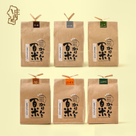 かりんと百米 選べる1袋  白糖/黒糖/胡麻/海老塩/庄内野菜/ピーナツ/庄内青きな粉 かりんとう 庄内産米100％ 米菓 米油 おやつ お菓子