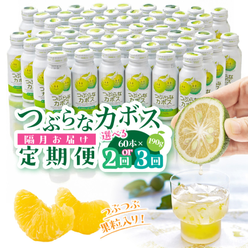 【隔月2ケース】つぶらなカボス定期便_2727R 2607596 - 大分県国東市