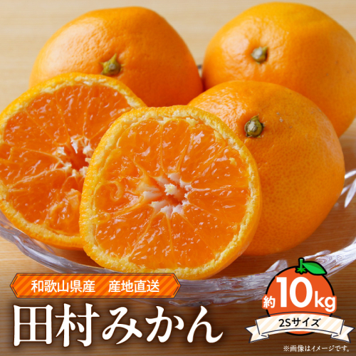 ZE6493_【2026年先行予約】和歌山 湯浅町産 田村みかん 約10kg【２Sサイズ】 2607597 - 和歌山県湯浅町