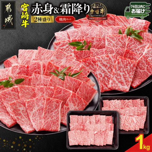 宮崎牛焼肉2種セット500g×2パック≪みやこんじょ快速便≫_19-N2-002-1000-R 2607604 - 宮崎県都城市