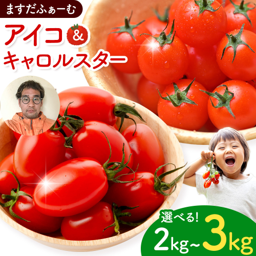ミニトマト アイコ＆キャロルスター 選べる 種類 内容量 約2kg 約3kg ますだふぁーむ《7月上旬-11月末頃出荷》熊本県 南阿蘇村 アイコトマト キャロルスター 野菜 旬 夏野菜 トマト 2607615 - 熊本県南阿蘇村