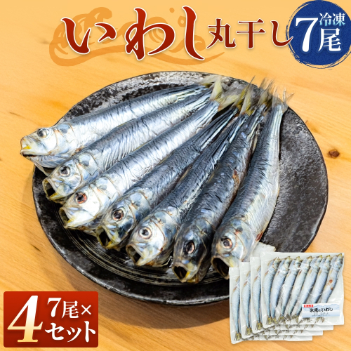 いわし丸干し（7尾） × 4セット 〈冷凍〉  2607621 - 富山県氷見市