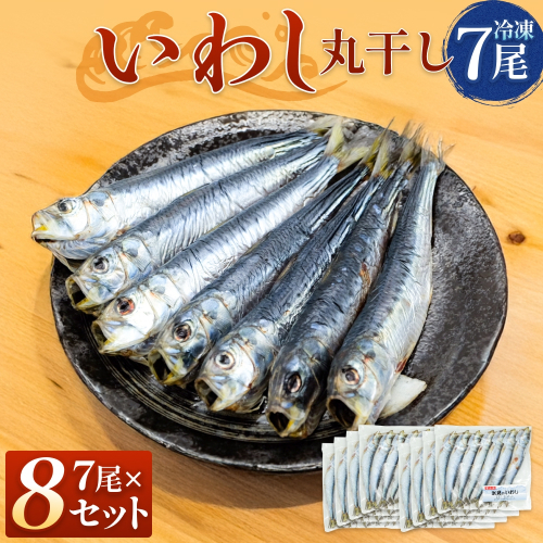 いわし丸干し（7尾） × 8セット 〈冷凍〉  2607622 - 富山県氷見市