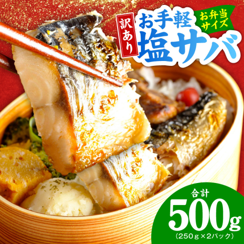 【お弁当サイズ】塩さば 500g（250g×2P）【生活応援 サバ 小分け 青魚 塩鯖 塩サバ 切身 塩焼き 焼きさば 焼き鯖 人気 冷凍 冷凍食品 おかず 惣菜 訳あり サイズ不揃い】 099H4469 2607680 - 大阪府泉佐野市