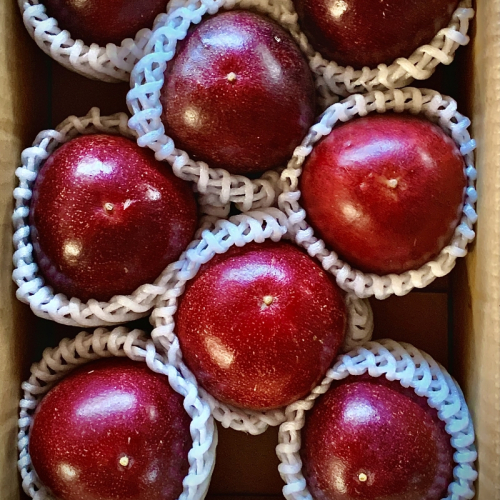 パッションフルーツ（贈答用　8個）《先行予約》6月上旬から順次発送予定 2607689 - 和歌山県御坊市