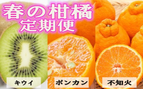 【定期便全3回 固定月】 和歌山の人気の春のフルーツをお届け！ （キウイ・ポンカン・不知火） ［TM257］ 2607706 - 和歌山県上富田町