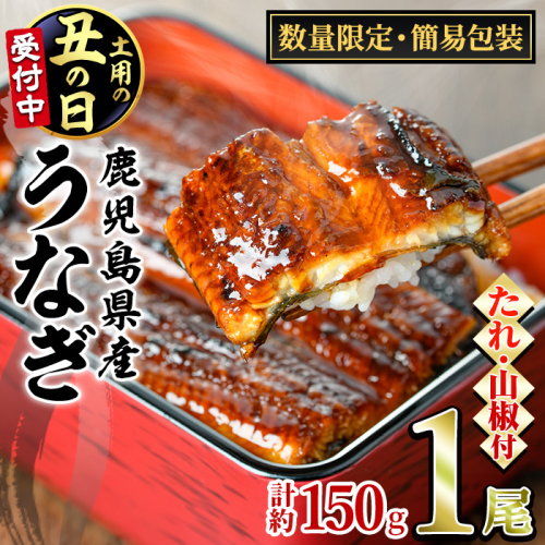 【0074325a-2607】＜土用丑の日までにお届け＞＜数量限定・宅配袋発送＞東串良町のうなぎ蒲焼(無頭)(1尾・約150g・タレ、山椒付) うなぎ 高級 ウナギ 鰻 国産 蒲焼 蒲焼き たれ 鹿児島 ふるさと お試し 【アクアおおすみ】 2607708 - 鹿児島県東串良町