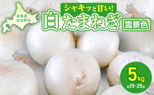 【2026年夏発送】富良野産 白玉ねぎ 雪景色II 約5kg （約15～25玉）新玉ねぎ 野菜 甘い 新鮮 直送 玉ねぎ 玉葱 サラダ 北海道 富良野 幕田農園 2607727 - 北海道富良野市