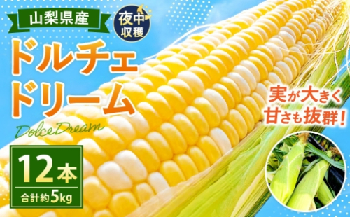 夜中収穫！ とうもろこし （ ドルチェドリーム ） 12本 （ 約5kg ） 【2026年6月上旬～下旬迄発送予定】 野菜 やさい トウモロコシ コーン スイートコーン 甘い 水分 糖分 国産 山梨県産 2607754 - 山梨県中央市