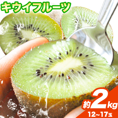 和歌山県紀の川市産 キウイ約2kg(12～17玉) ときわオンライン《12月下旬-5月中旬頃出荷》 和歌山県 紀の川市 キウイ キウイフルーツ 果物 フルーツ 送料無料 2607769 - 和歌山県紀の川市