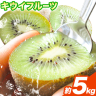 和歌山県紀の川市産 キウイ約5kg ときわオンライン《12月下旬-5月中旬頃出荷》 和歌山県 紀の川市 キウイ キウイフルーツ 果物 フルーツ 送料無料