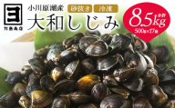 砂抜き済みで手間いらず！冷凍・小川原湖産大和しじみ8.5kg（500g×17袋）　【02408-0031】