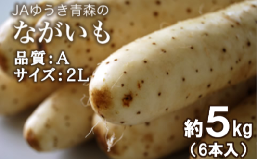青森県特産ながいも　A2L（6本入）約5kg　【02408-0036】 260795 - 青森県東北町