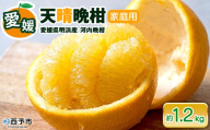 先行予約受付[天晴晩柑(河内晩柑)家庭用 約1.2kg]『2026年4月上旬〜5月下旬迄に順次出荷予定』訳アリ 訳あり 果物 柑橘 みかん 和製 グレープフルーツ 食べて応援 特産品 株式会社笑丸 愛媛県明浜産 愛媛県 西予市[常温]