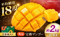 秀品 完熟マンゴー約2kg（3～6玉） まんごー mango 果物 フルーツ くだもの 旬 期間限定 季節限定 スイーツ 国産 熊本県 合志市 【宮本マンゴー農園】 [AYDU004]