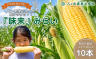 朝採れ 直送 フルーツのような甘さ 『 皮付き 』 生とうもろこし 10本 | 八ヶ岳農業大学校 トウモロコシ とうもろこし 自然 旨味 甘味 生食 信州 八ヶ岳 長野県 諏訪郡 原村