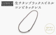 生チタンブラックスピネルコンビネックレス 神奈川県 横浜市 人気 おすすめ チタン ジュエリー ネックレス 高純度チタン パワーチャーム 軽い ギフト プレゼント