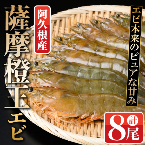薩摩橙王エビ(4尾入×2パック) 国産 鹿児島県産 阿久根市産 えび 海老 魚貝類 魚介類 海産物 養殖 冷凍 期間限定 数量限定 焼き海老 焼きエビ バナメイエビ シロアシエビ 生食可 【リージョナルフィッシュ株式会社】akn105-01 2609365 - 鹿児島県阿久根市