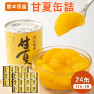 甘夏缶詰24缶入り (12缶×2箱)《60日以内に出荷予定(土日祝除く)》熊本県 葦北郡 津奈木町 あしきた農業協同組合 JAあしきた 柑橘 甘夏 あまなつ フルーツ 果物 缶詰 送料無料