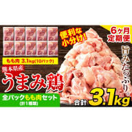 【6ヶ月定期便】 鶏肉 うまみ鶏 全パックもも肉セット(計1種類) 若鶏 冷凍 小分け《お申込み翌月から出荷》
