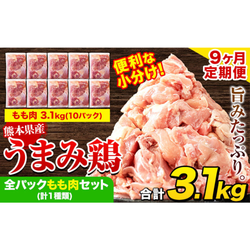 【9ヶ月定期便】 鶏肉 うまみ鶏 全パックもも肉セット(計1種類) 計3.1kg 若鶏 冷凍 小分け《お申込み翌月から出荷》 2609379 - 熊本県津奈木町