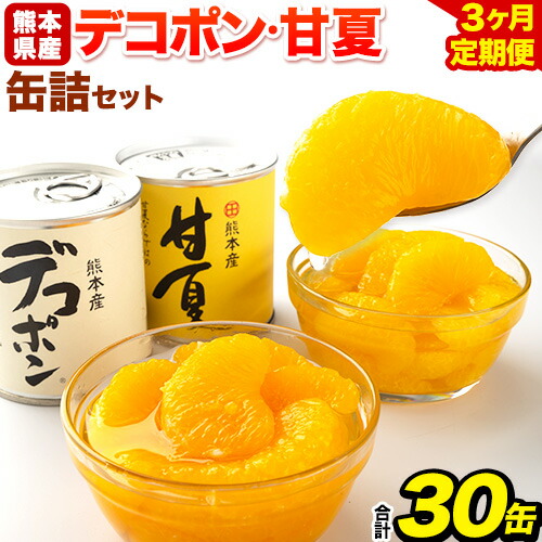 【3ヶ月定期便】デコポン・甘夏缶詰セット計10缶入り 熊本県 葦北郡 津奈木町 あしきた農業協同組合 JAあしきた《お申込み翌月から出荷》柑橘 デコポン 甘夏 あまなつ フルーツ 果物 缶詰 セット 送料無料 合計30個お届け 2609389 - 熊本県津奈木町
